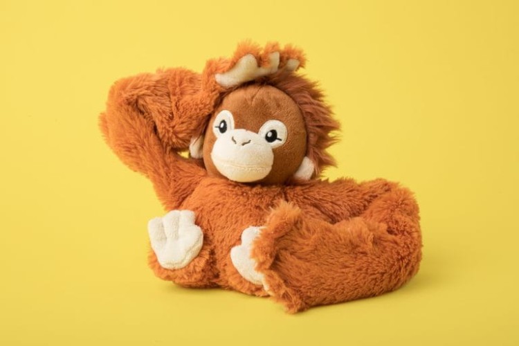 Main-Image-Ollie-The-Orangutan-Hi-Res-768x512.jpg