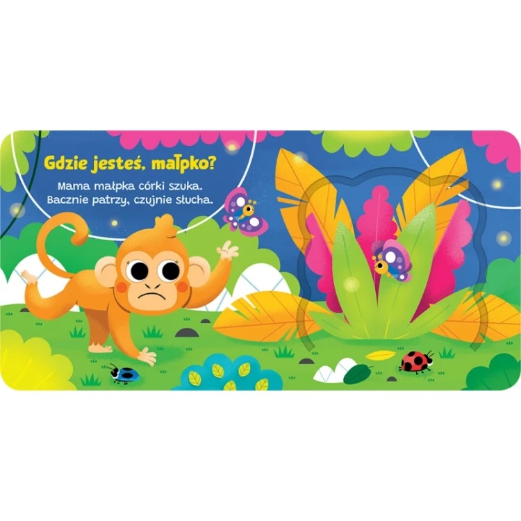 otworz-okienko-gdzie-jestes-malpko (1).jpg