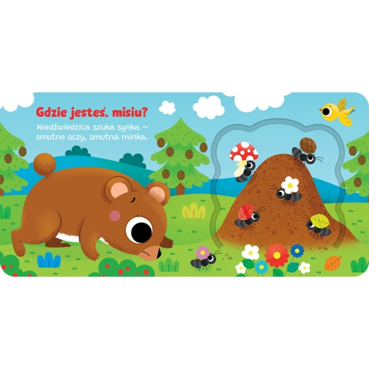 otworz-okienko-gdzie-jestes-misiu (1).jpg