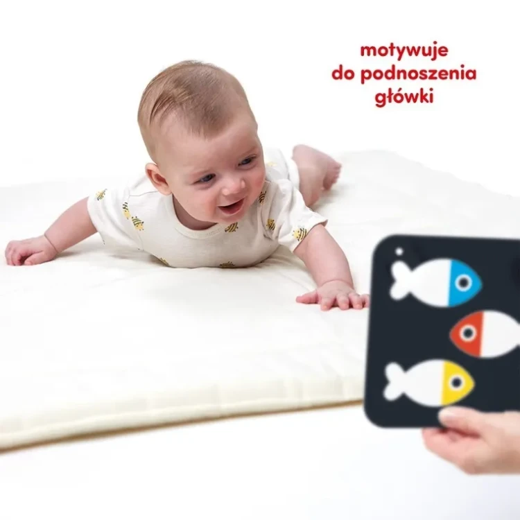 czuczu-karty-kontrastowe-duze-0m-7253366 (2).webp