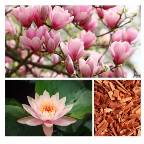 PIANKA-do-kapieli-WARM-UP-FOR-FUN-60g---DRESDNER-ESSENZ (1).jpg