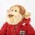 big_6846e7a78d66b-teaching-monkey.jpeg