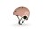 pol_pl_SCOOTANDRIDE-Kask-XXS-S-dla-dzieci-1-5-lat-Mocha-13658_29.jpg