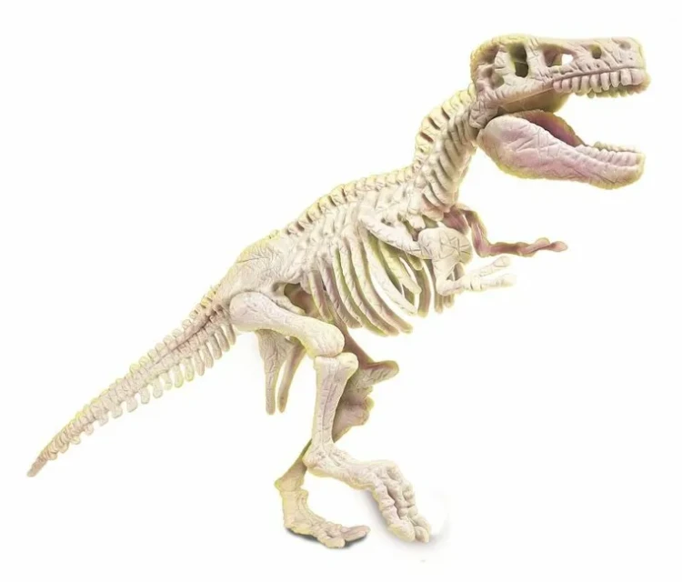 clementoni-naukowa-zabawa-skamienialosci-t-rex-fluorescencyjny-zestaw-naukowy-7703502 (1).webp