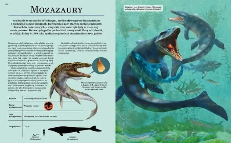 dinozaury-prehistoryczni-giganci-nauka-rzadzi-8297089 (1).webp