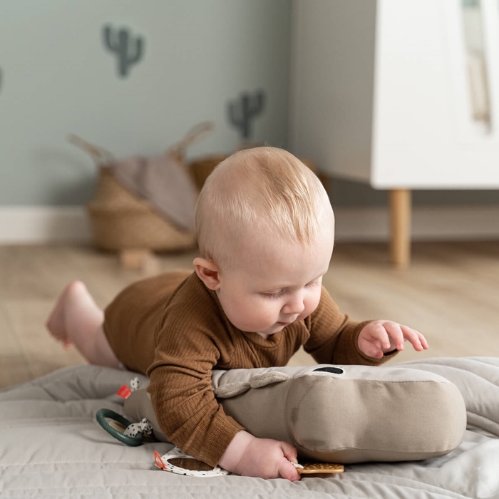 3cf4b70420974b3b99fcc5cf0cbfe179.jpg