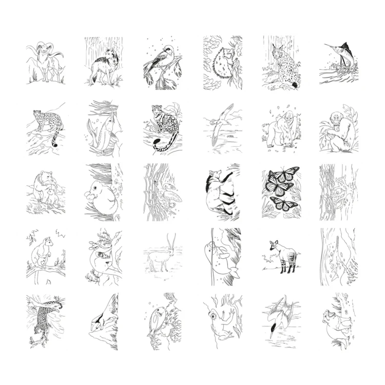 KIDYDRAW_PAD8_ANIGRAPH01_c6381b73-5d04-4232-a146-aebc6c54f362.webp