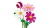 blt66406eb0e5124faa-11514_WEB_SEC02_NOBG.png