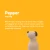 28.webp