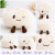 poduszka pierozek dumpling squishy white.png
