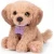shopping (3).webp
