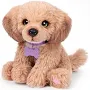 shopping (3).webp