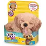 shopping (1).webp