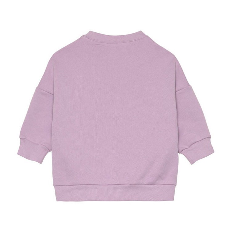 pol_pl_Lassig-Bluza-z-bawelny-organicznej-GOTS-Little-Gang-Rainbow-lilac-4-6-lat-11527_16.jpg