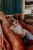 pol_pm_Hello-Hossy-Okulary-przeciwsloneczne-Hossy-Vera-5-8-lat-922_9.jpg