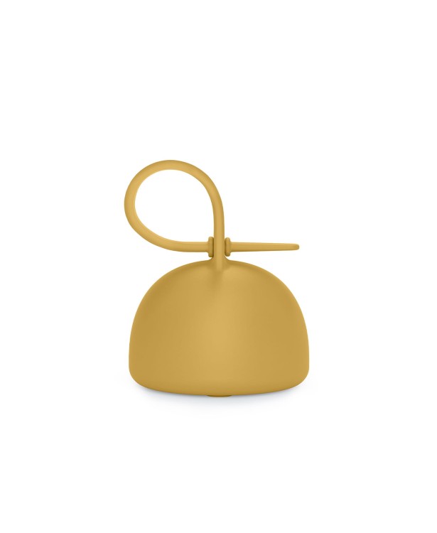 0256-colour-essence-soother-case-mango-01.jpg