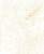 pol_pl_Janod-Zestaw-kreatywny-Malowanie-po-numerach-Fantastyczne-stworzenia-2-obrazy-Misterix-7-8463_7.jpg