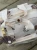 48.webp