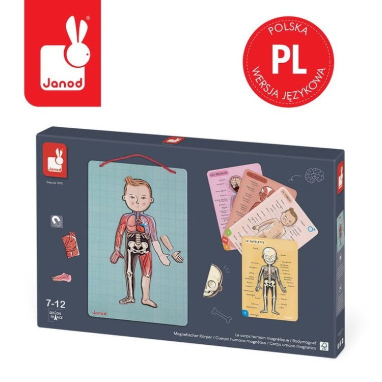 pol_pl_Janod-Ukladanka-magnetyczna-Cialo-czlowieka-1313_27.jpg