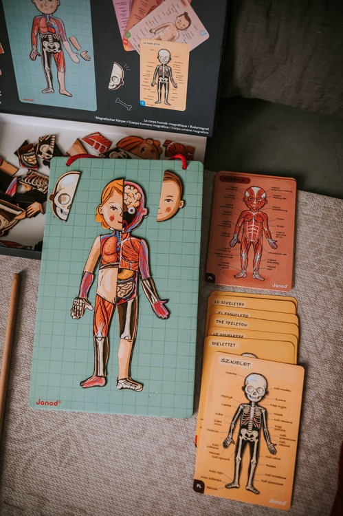 pol_pl_Janod-Ukladanka-magnetyczna-Cialo-czlowieka-1313_1.jpg