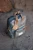 MiniBackpack-2.webp
